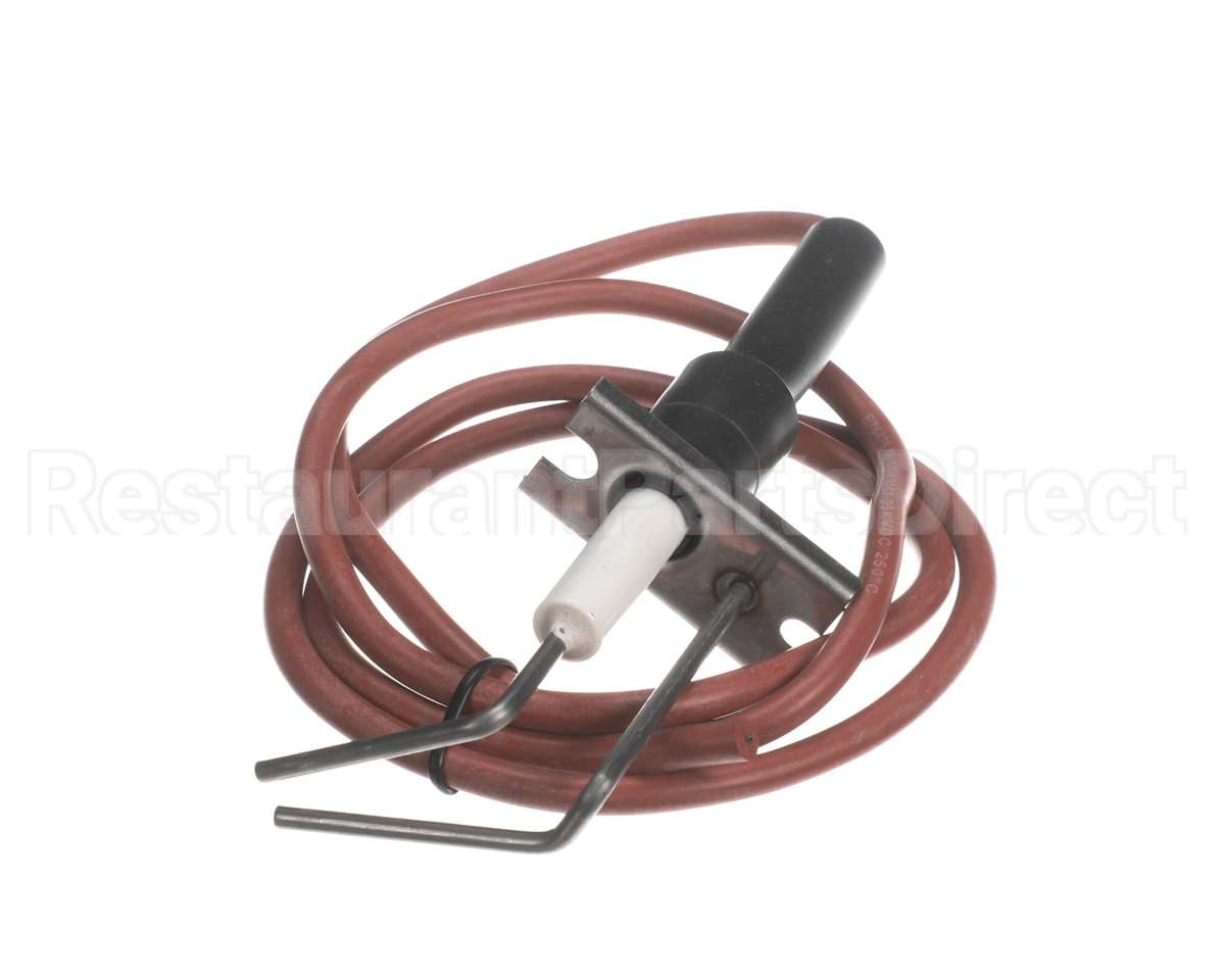 LH33WZ004 Bryant Payne Ignitor
