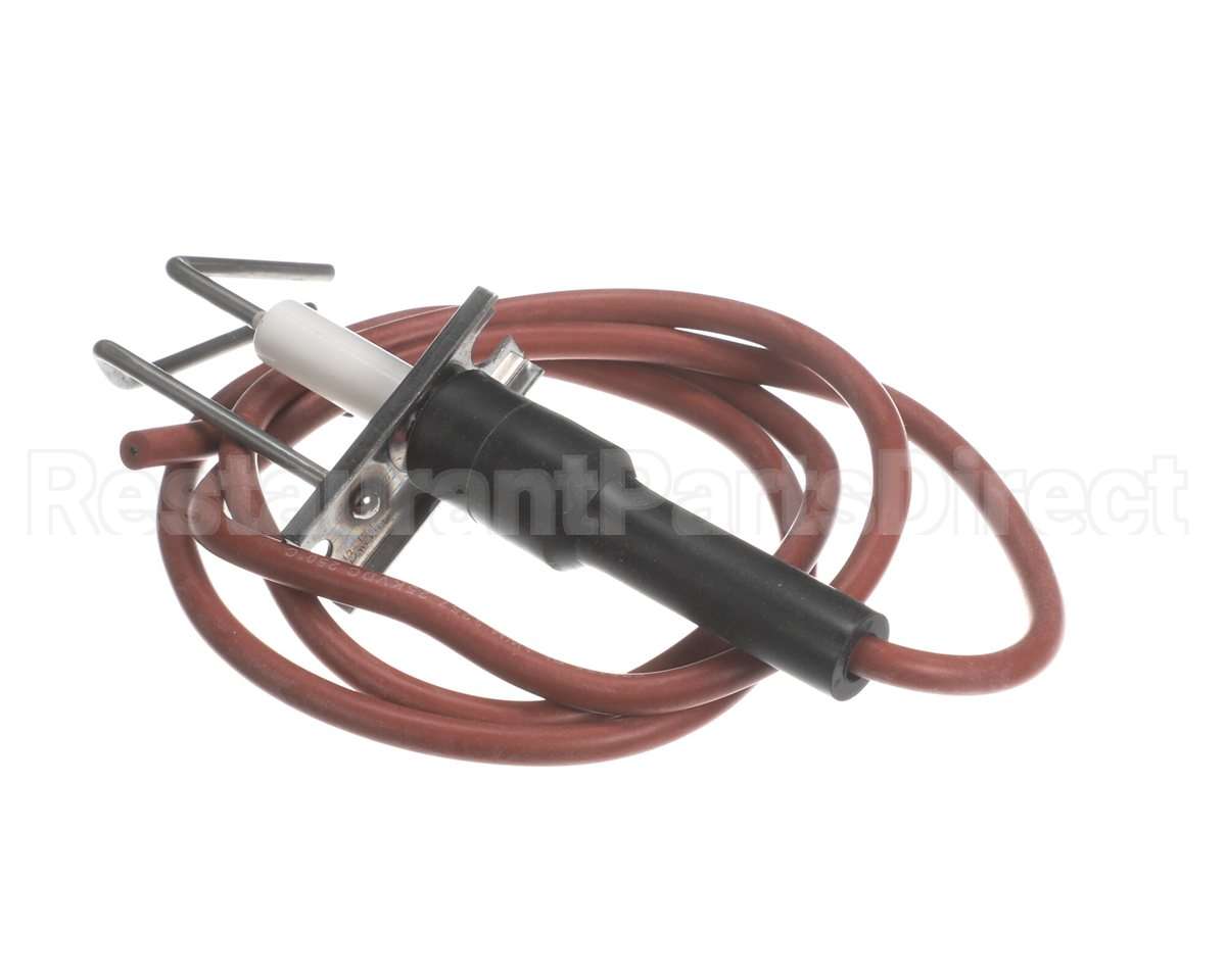 LH33WZ004 Bryant Payne Ignitor