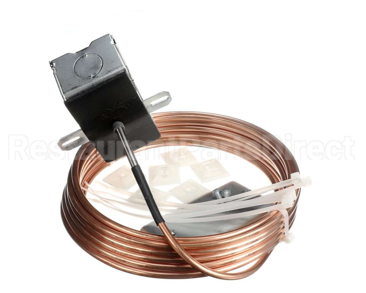 R17090 Aaon Temp/Rh Duct Sensor,24Ft