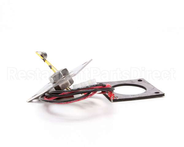 R3141 Blodgett Level Probe Assembly, Short