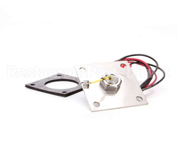 R3141 Blodgett Level Probe Assembly, Short