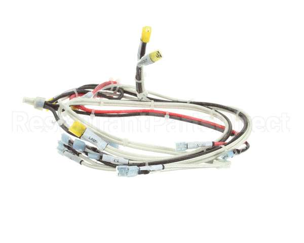 RD85SAE-19 Rankin Delux Wire Harness (1 Per Burner)