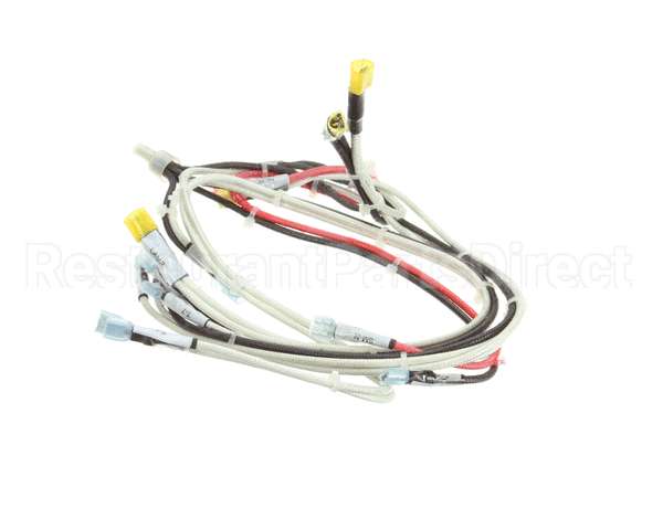 RD85SAE-19 Rankin Delux Wire Harness (1 Per Burner)