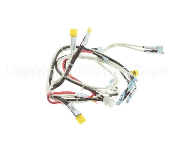 RD85SAE-19 Rankin Delux Wire Harness (1 Per Burner)