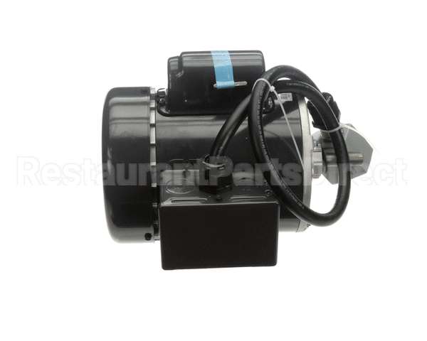 RE816653 Picard Ovens 230V Motor With Plug Re48Re816