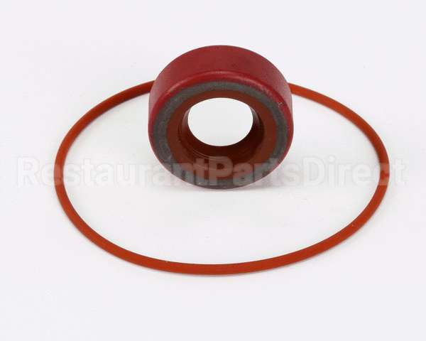 RK0004 Bki Repair Kit, Haight Pump