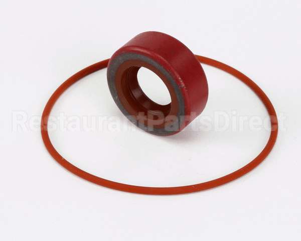 RK0004 Bki Repair Kit, Haight Pump