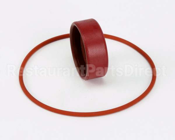 RK0004 Bki Repair Kit, Haight Pump