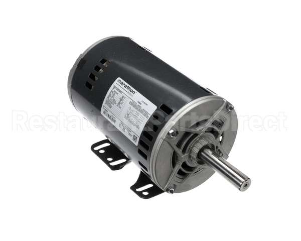 S1-02436165000 York Blower Motor,2,1725,208-230/460V,3P