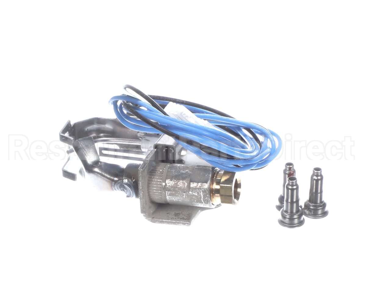 S1-02532780000 York Pilot Ignitor Assembly