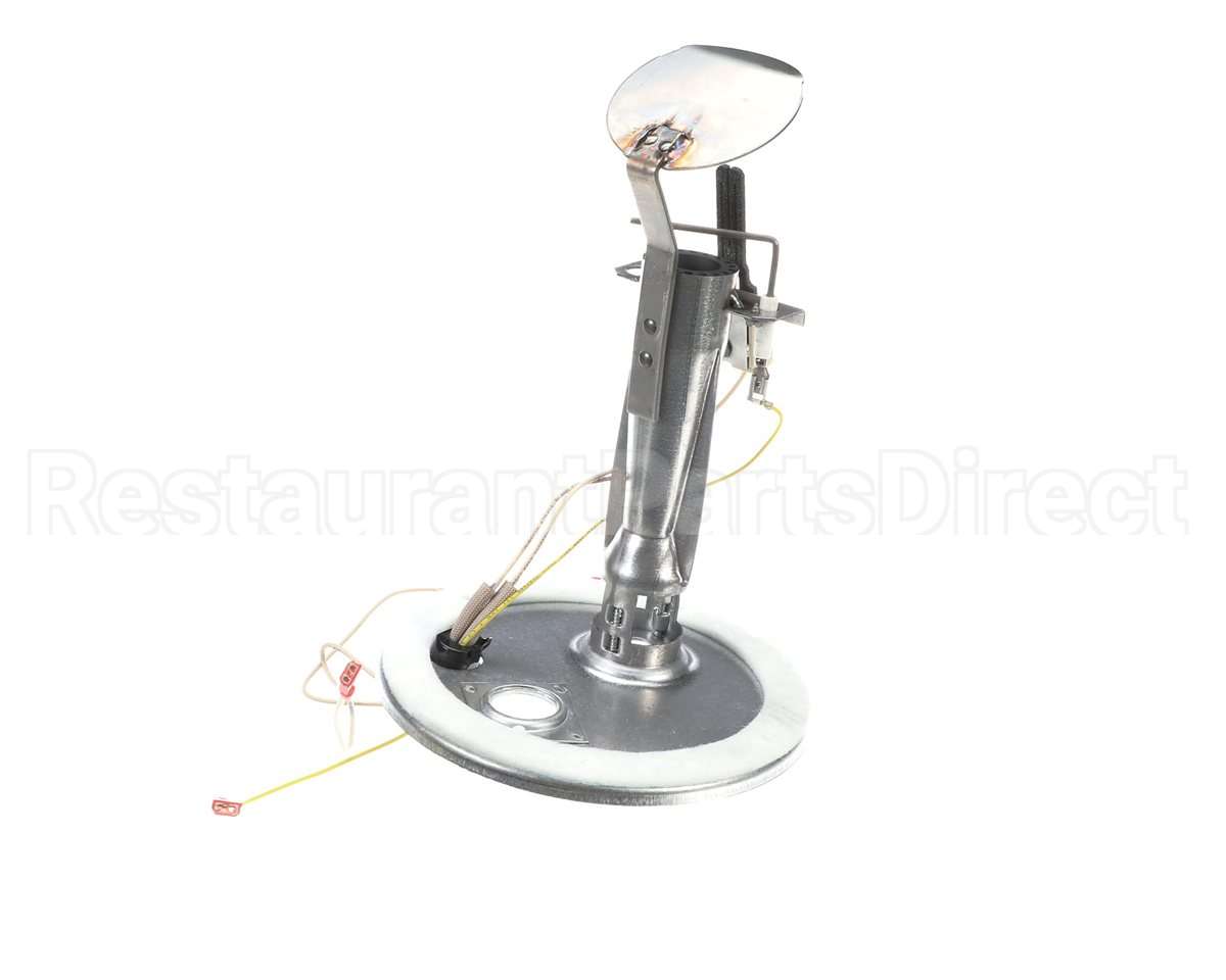 S1-37319801403 York Burner Assembly