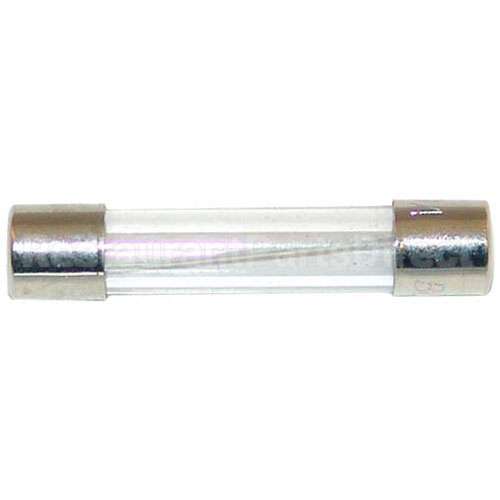 S10-5973 Compatible Market Forge Fuse