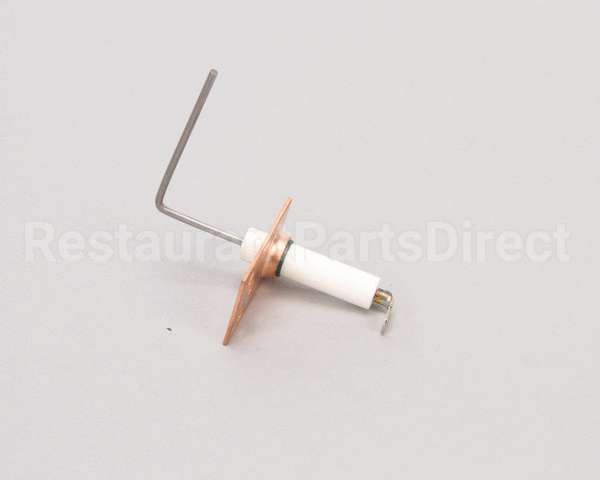 SEN00297 Trane Sensor, Flame