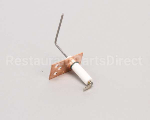 SEN00297 Trane Sensor, Flame