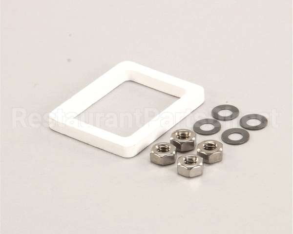 WS-66863 Wells Gasket Kit Elem