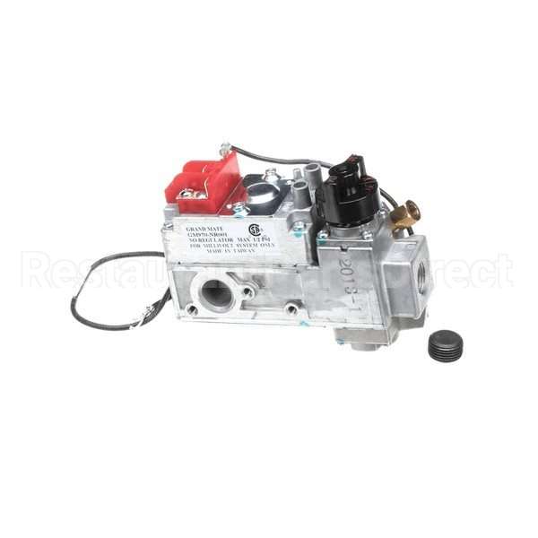 WS-WL1000 Compatible Wells Vlv, Gas Wg Ser Grid Grandmate