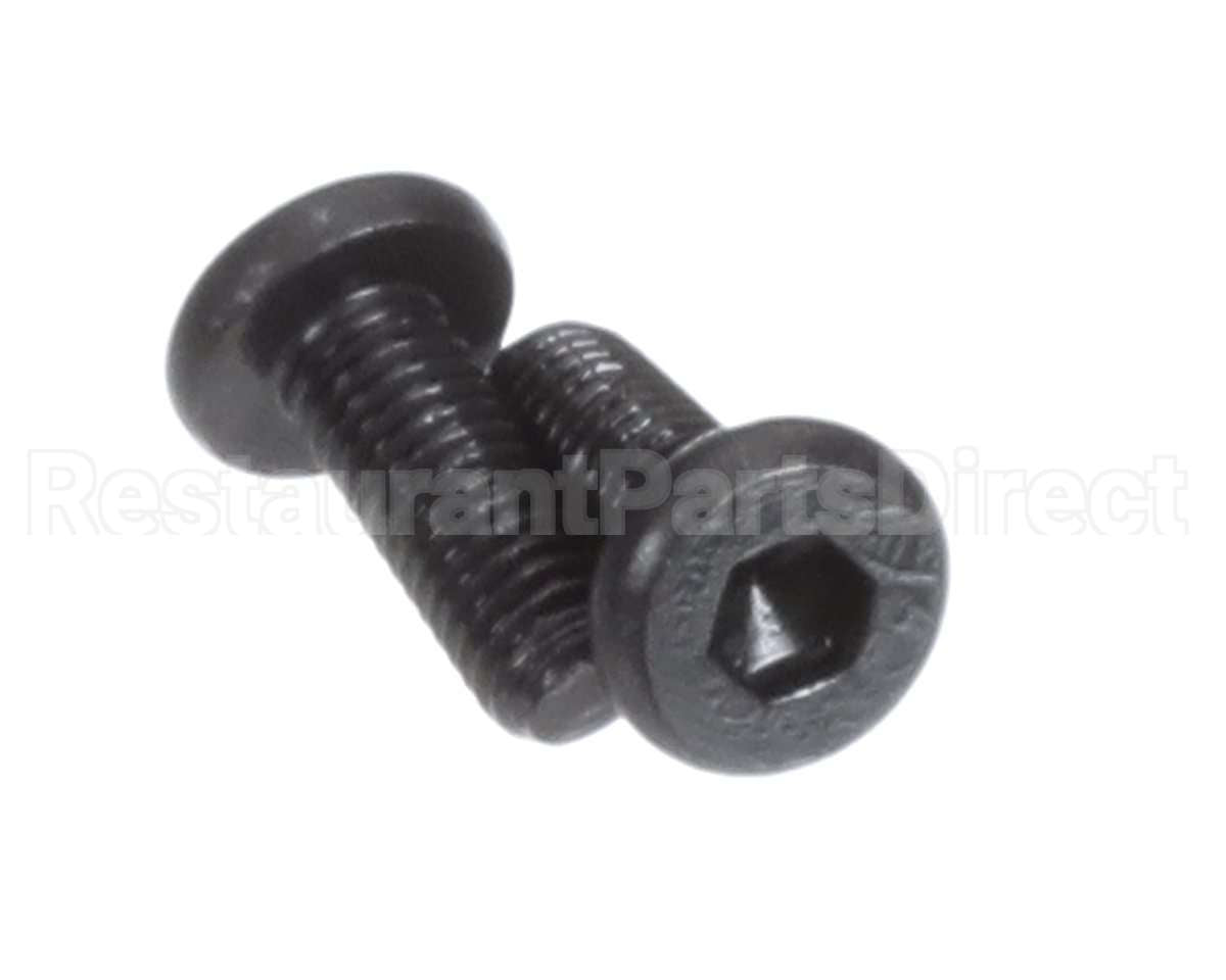 X00556 Globe Motor Mounting Screw