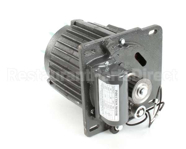X30068 Globe Motor