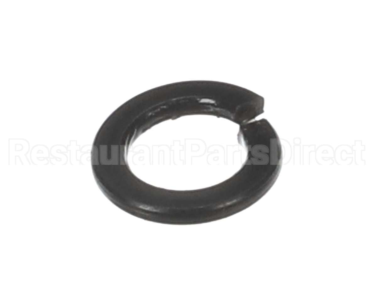 X30198 Globe Washer