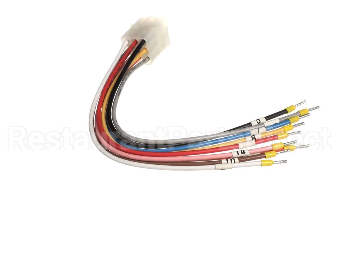 X80J25 Globe Connector