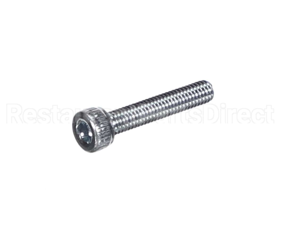 X80J36 Globe Screw