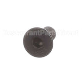00-316310 Hobart Screw