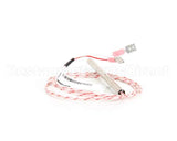 00-353589-00001 Vulcan Hart Probe, Temperature