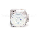 00-410841-00022 Vulcan Hart Valve,Combination - Nat