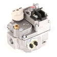 00-410841-00029 Compatible Vulcan Valve, Combination