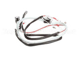 00-419343-000G1 Vulcan Hart Wire Harness