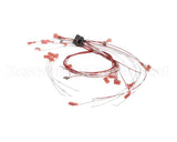 00-424198-000G1 Vulcan Hart Wire,Set Assembly.