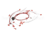 00-424198-000G1 Vulcan Hart Wire,Set Assembly.