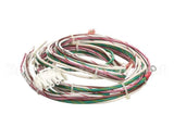 00-475300-00001 Hobart Harness Assembly.,Chemical Pumps