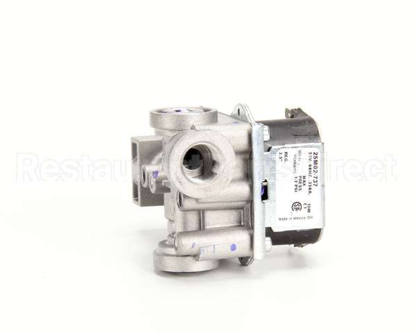 00-497269-00001 Vulcan Hart Valve,Combo W.r. 25M02-737 Nat