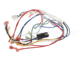 00-498474-00024 Vulcan Hart Harness, 24Rrg Wiring