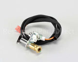 00-498621-0000A Vulcan Hart Burner, Rrg Pilot Spark