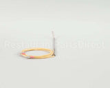 00-819396 Vulcan Hart Probe, Thermistor