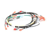 00-854285-00001 Vulcan Hart Harness,Intermittent Pilot