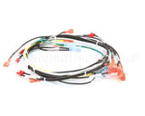 00-854285-00001 Vulcan Hart Harness,Intermittent Pilot