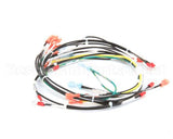 00-854285-00001 Vulcan Hart Harness,Intermittent Pilot