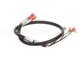 00-854701-00001 Vulcan Hart Harness,Gas Valve