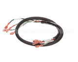 00-854701-00001 Vulcan Hart Harness,Gas Valve