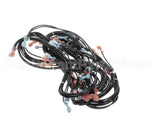 00-855691-00001 Vulcan Hart Harness,