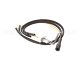 00-855843-00001 Vulcan Hart Spark Ignitor