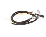 00-855843-00001 Vulcan Hart Spark Ignitor