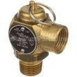 00-855968-00001 Compatible Vulcan Safety Valve 1/2"M X 1/2"F