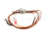 00-856042-00001 Vulcan Hart Sensor,Temperature