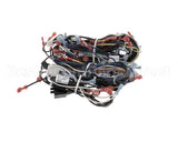 00-856745-00001 Vulcan Hart Harness,Wiring C24Ea Pro