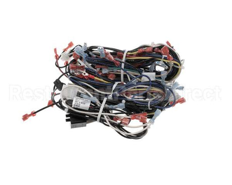 00-856745-00001 Vulcan Hart Harness,Wiring C24Ea Pro