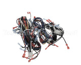00-856745-00001 Vulcan Hart Harness,Wiring C24Ea Pro